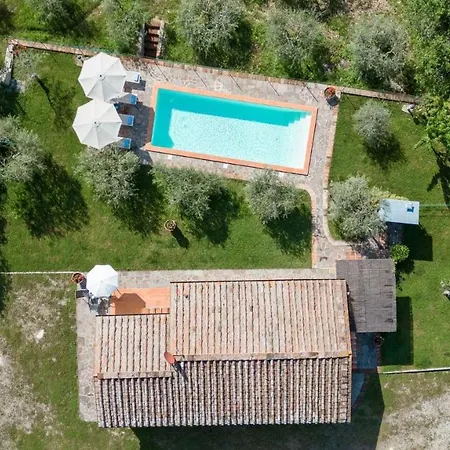 Sassolaia Gaiole in Chianti